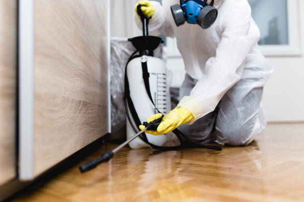 Best Best Pest Control Companies  in Vale, OR