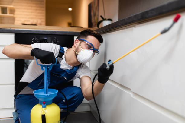 Best Affordable Pest Control Services  in Vale, OR
