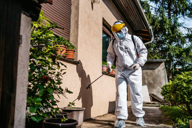 Best Affordable Pest Control Services  in Vale, OR