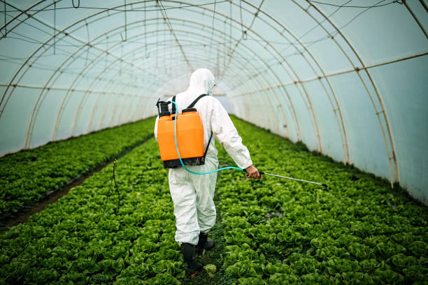 Best Pest Control Near Me  in Vale, OR