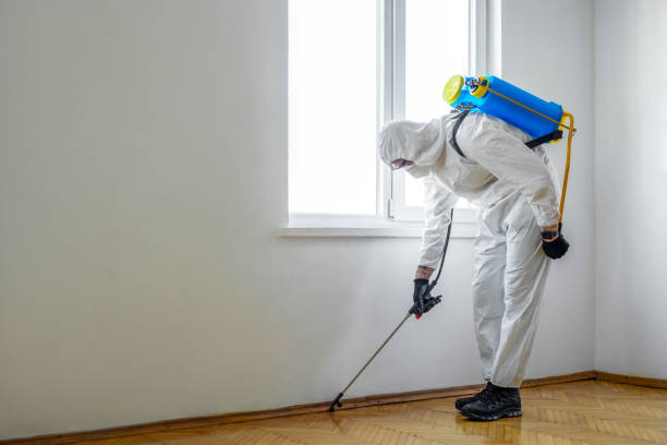 Best Exterminator Services  in Vale, OR