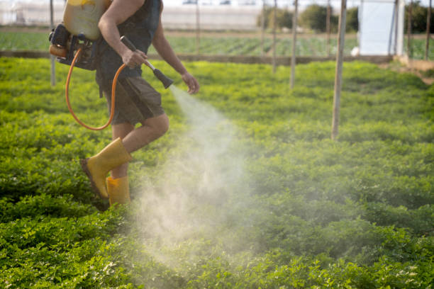 Best Pest Inspection Near Me  in Vale, OR