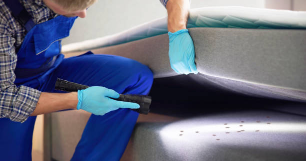 Best Rat Extermination Near Me  in Vale, OR