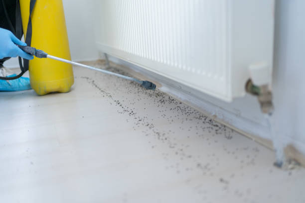 Best Residential Pest Control  in Vale, OR