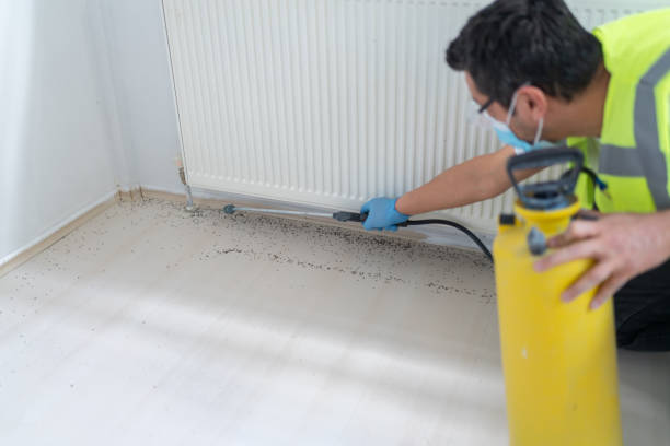 Pest Control for Restaurants in Vale, OR